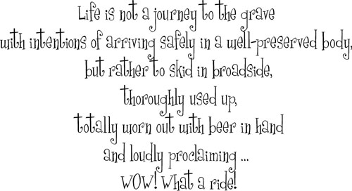 What A Ride | Wall Decals