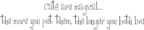 Cats Are Magical | Wall Decals