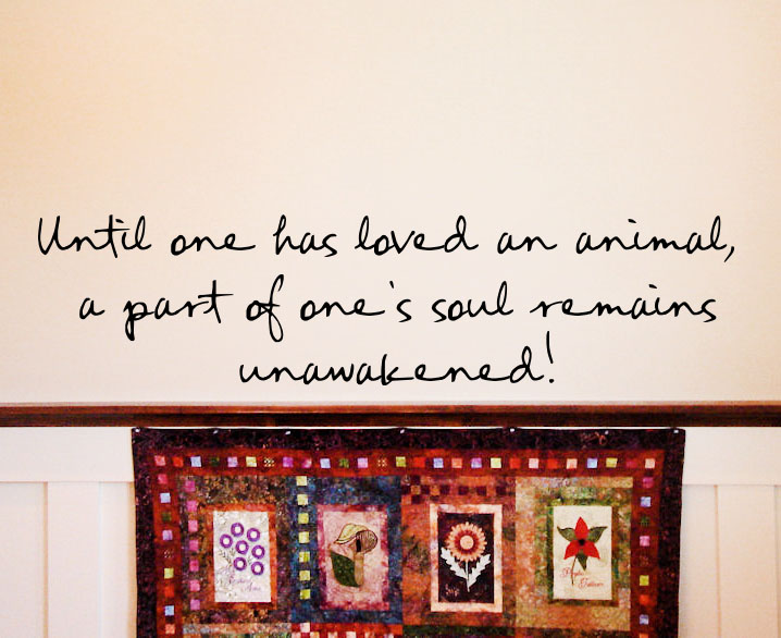 Until Loved Animal Soul Unawakened Wall Decals  
