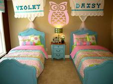 Crazy Owl Decal