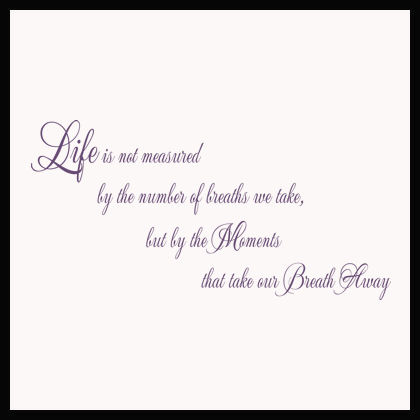 Life Is Not Measured Alternative Wall Decals   