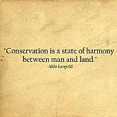 Conservation Is A State Wall Decals   