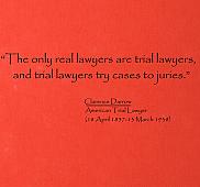Real Lawyers Wall Decals   