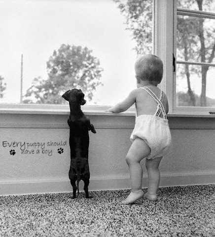 Every Puppy Boy | Wall Decals