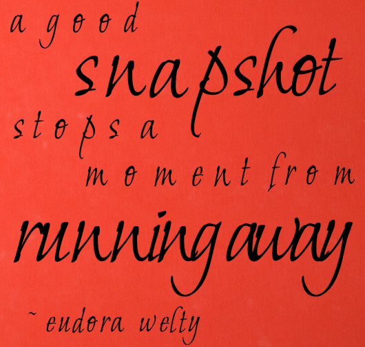 Wall Decals & Quotes by Trading Phrases