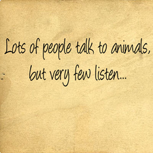 Talk To Animals | Wall Decals