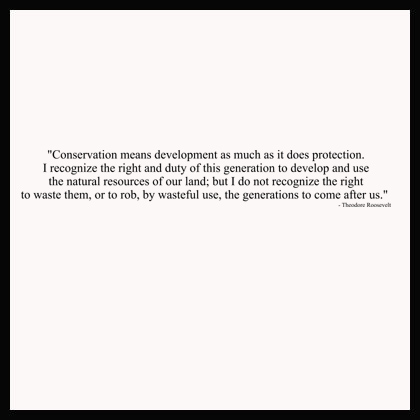 Conservation Means | Wall Decals 