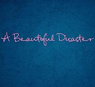 Beautiful Disaster Wall Decals  