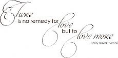 No Remedy For Love | Wall Decals