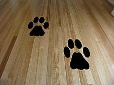 Paw Print Wall Decal