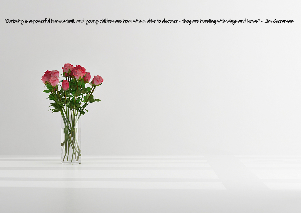 Curiosity Is A Powerful Trait Wall Decal