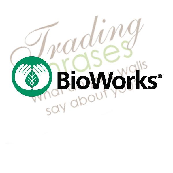 BioWorks Wall Decal