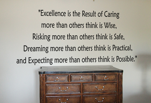 Excellence Is Caring Decal