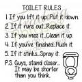 Toilet Rules Wall Decal