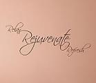 Relax Rejuvenate Refresh Wall Decal
