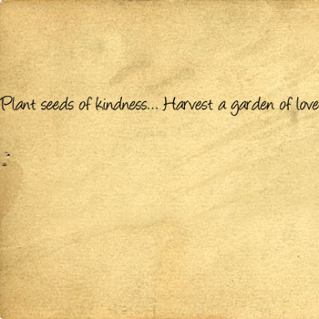 Plant Seeds Of Kindness | Wall Decals