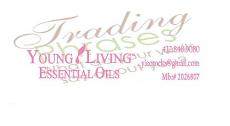 Young Living Wall Decal