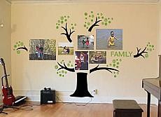 Family Photo Tree With Leaves Wall Decal