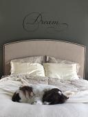 Dream Simply Words Wall Decal