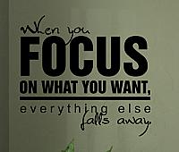 Focus on What You Want Wall Decals