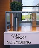 No Smoking Wall Decal