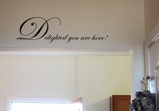 Delighted Wall Decal 