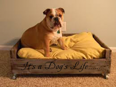 It's A Dog's Life Wall Decal 