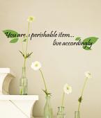 You Are Perishable Wall Decal 